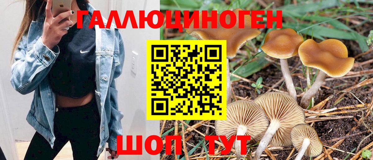 Псилоцибиновые грибы ЛСД Прохладный