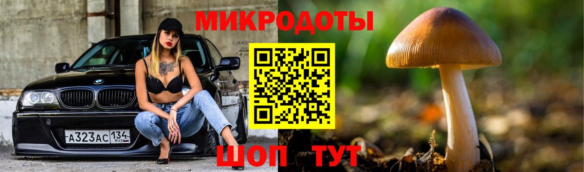 Галлюциногенные грибы Psilocybine cubensis  Вход с VPN  Прохладный 